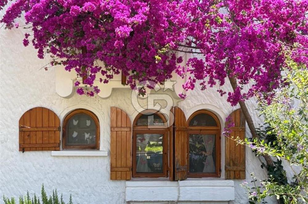EMSALSİZ-PALABUTBÜKÜ VİLLA