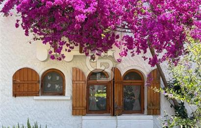 EMSALSİZ-PALABUTBÜKÜ VİLLA