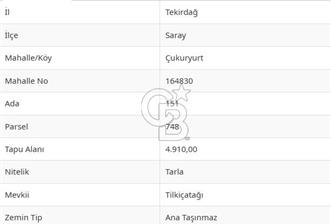 TEKİRDAĞ SARAY'A BAĞLI ÇUKURYURT KOYÜNDE SATILIK TARLA