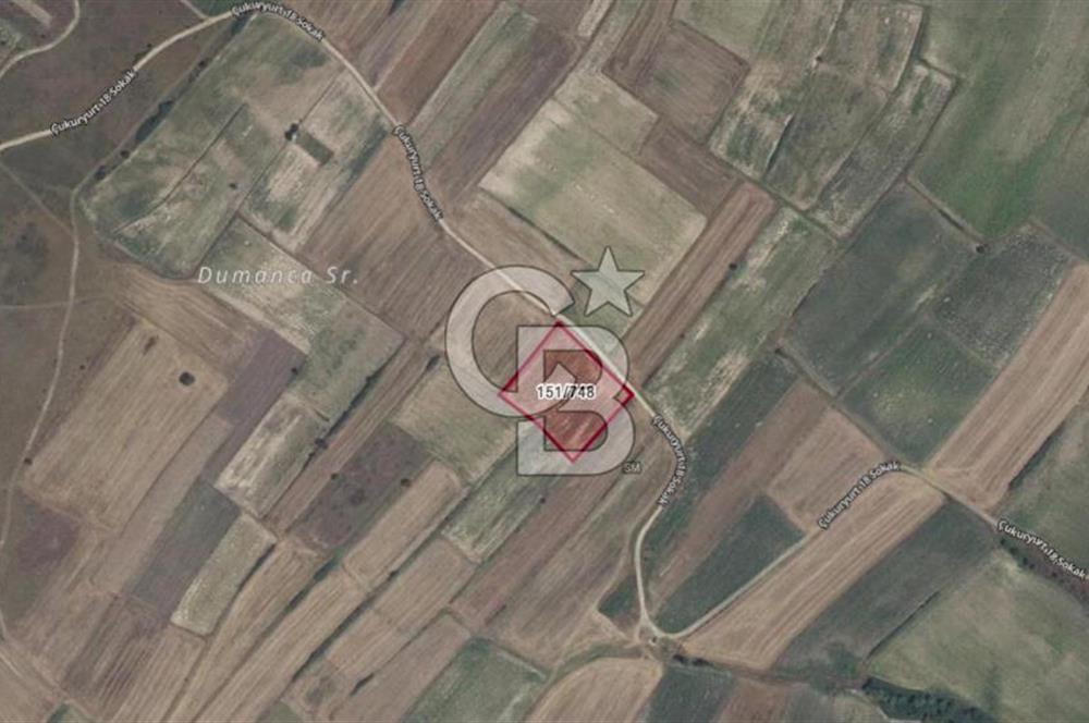 TEKİRDAĞ SARAY'A BAĞLI ÇUKURYURT KOYÜNDE SATILIK TARLA