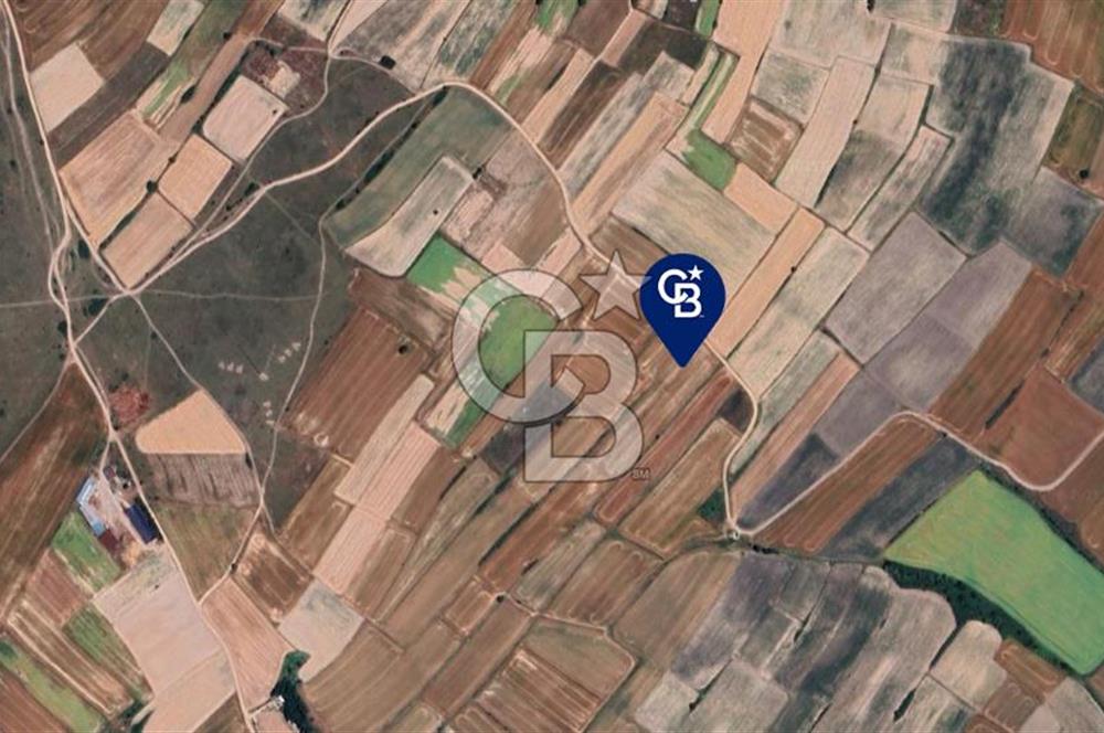 TEKİRDAĞ SARAY'A BAĞLI ÇUKURYURT KOYÜNDE SATILIK TARLA