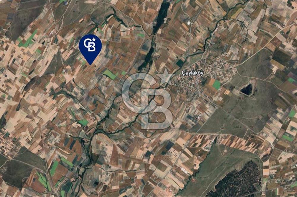 TEKİRDAĞ SARAY'A BAĞLI ÇUKURYURT KOYÜNDE SATILIK TARLA