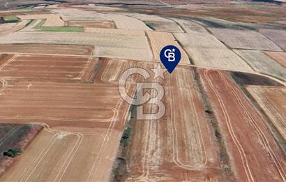 TEKİRDAĞ SARAY'A BAĞLI ÇUKURYURT KOYÜNDE SATILIK TARLA
