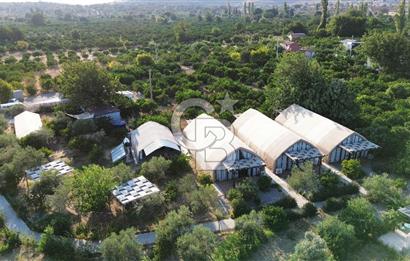 İZMİR SEFERİHİSAR SIĞACIK'TA  SATILIK 10 ODALI GLAMPİNG TESİSİ