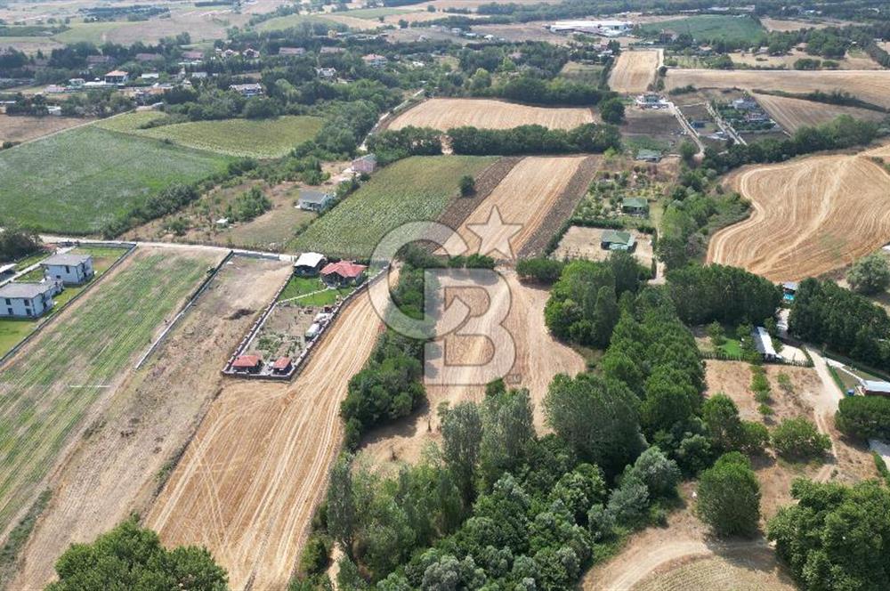 Çatalca Kabakçada Villa Bölgesinde 11.808 m² Yatırımlık Arazi!