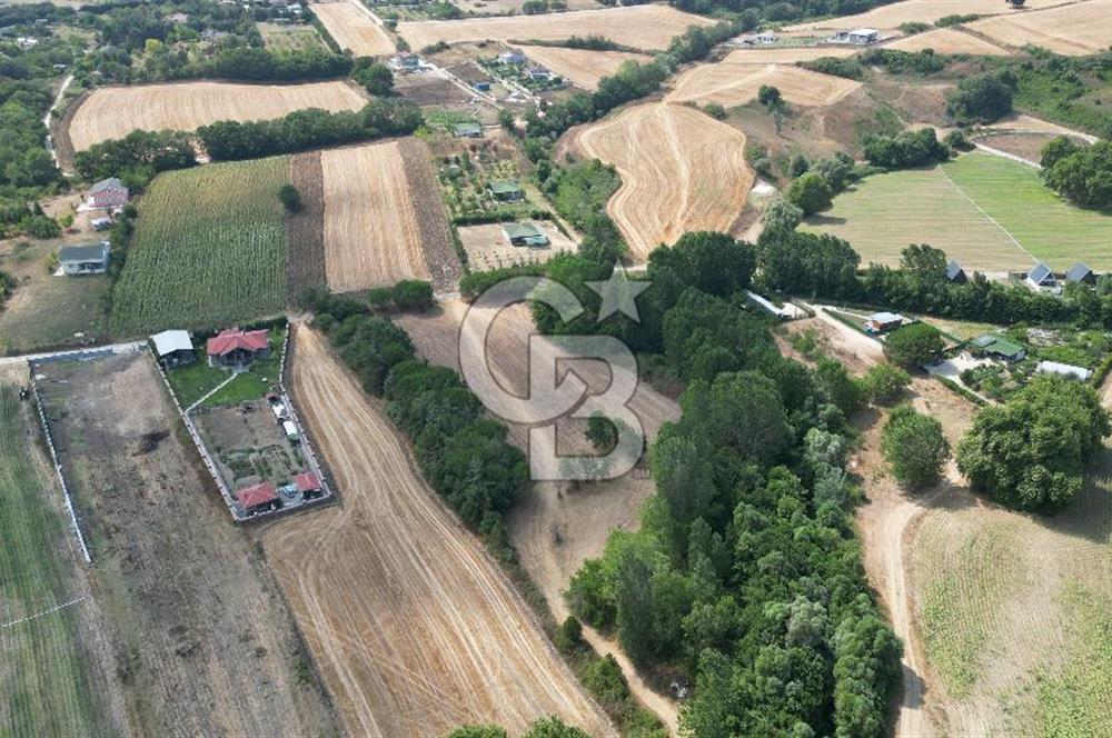 Çatalca Kabakçada Villa Bölgesinde 11.808 m² Yatırımlık Arazi!