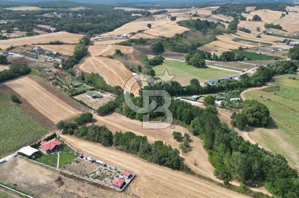 Çatalca Kabakçada Villa Bölgesinde 11.808 m² Yatırımlık Arazi!