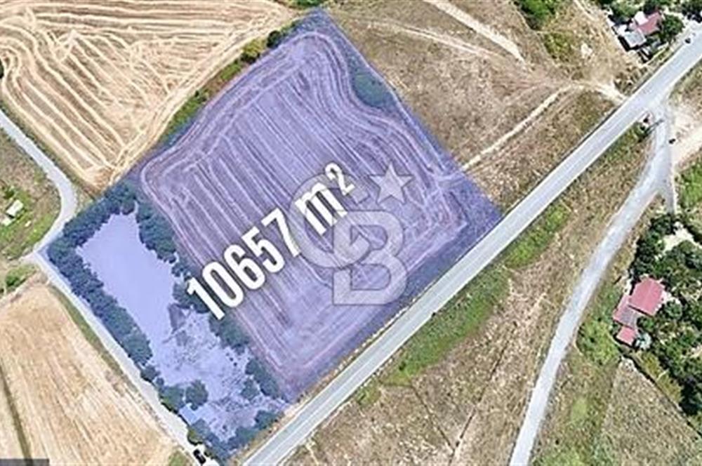 Tayakadında Kiralık Arsa Yola Cephe, Havalimanı Yanı 10.657m²