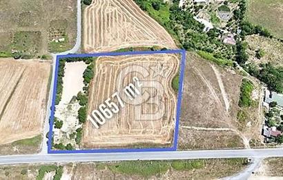 Tayakadında Kiralık Arsa Yola Cephe, Havalimanı Yanı 10.657m²