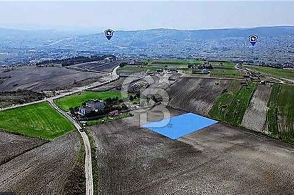 ÇATALCA ÇANAKÇA MAHALLESİ SATILIK 3722m² ARSA