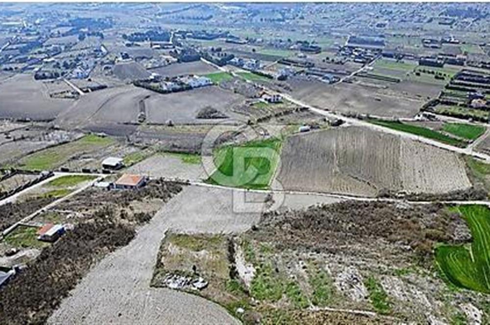 ÇATALCA KESTANELİK MAHALLESİ SATILK 3803m² ARSA