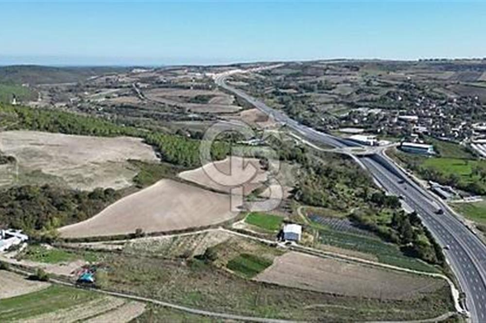 ÇATALCA KIZILCAALİDE 11.201 m² HAVALİMANI YOLU CEPHELİ ARSA
