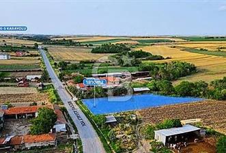 KIRKLARELİ BABAESKİ TAŞKÖPRÜ 1810m² SATILIK ARSA