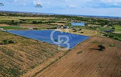 KIRKLARELİ MERKEZ KARAKOÇ SATILIK 10.836m² TARLA