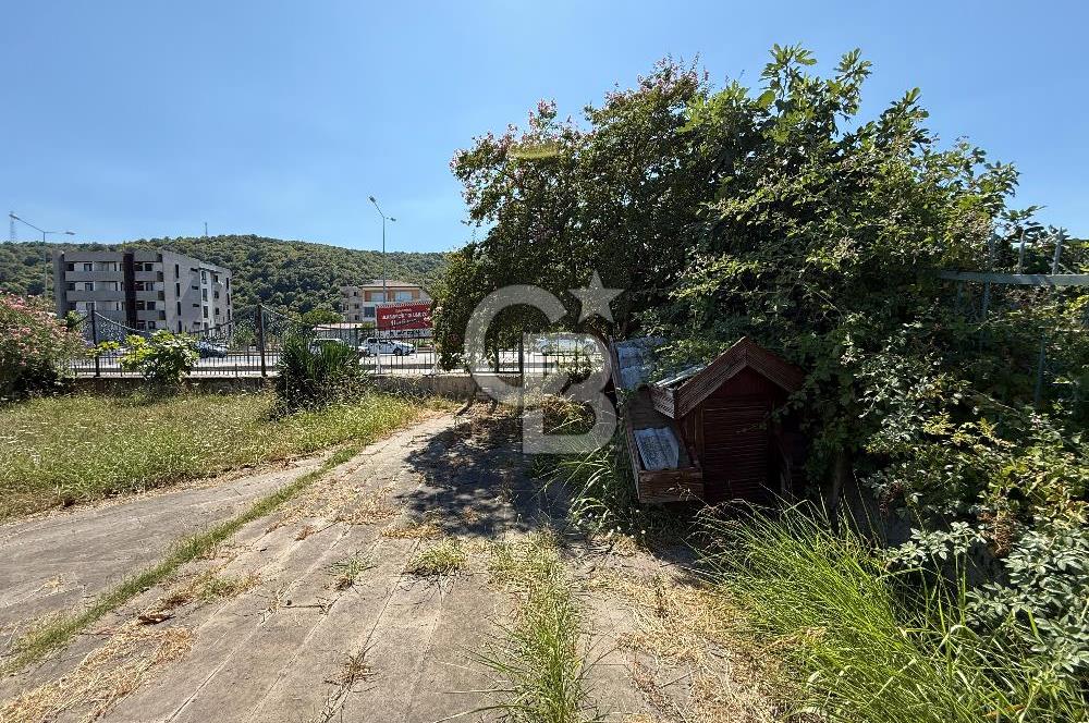 Anayola cephe -- İŞYERİ -- Kiralık villa