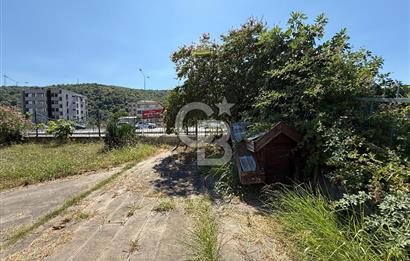 Anayola cephe -- İŞYERİ -- Kiralık villa
