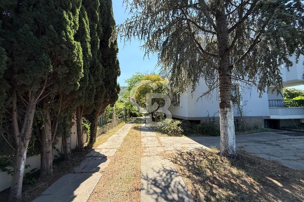 Anayola cephe -- İŞYERİ -- Kiralık villa