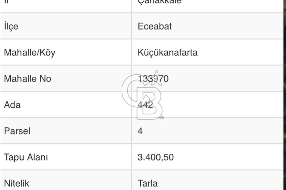 CB UNIQUE'TEN ECEABAT KÜÇÜKANAFARTA'DA YATIRIM DEĞERİ YÜKSEK TARLA