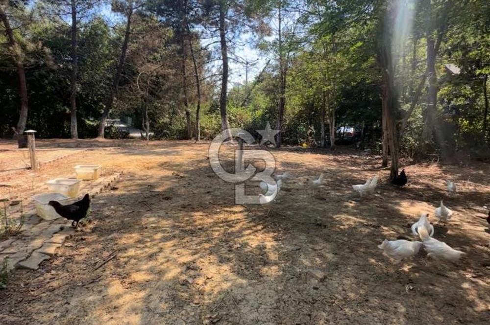 Göktürk Davutpaşa Korusunda Satılık Villa Arsası