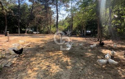 Göktürk Davutpaşa Korusunda Satılık Villa Arsası
