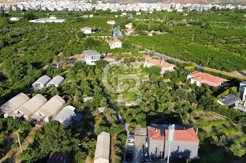 İZMİR SEFERİHİSAR SIĞACIK'TA  SATILIK 10 ODALI GLAMPİNG TESİSİ