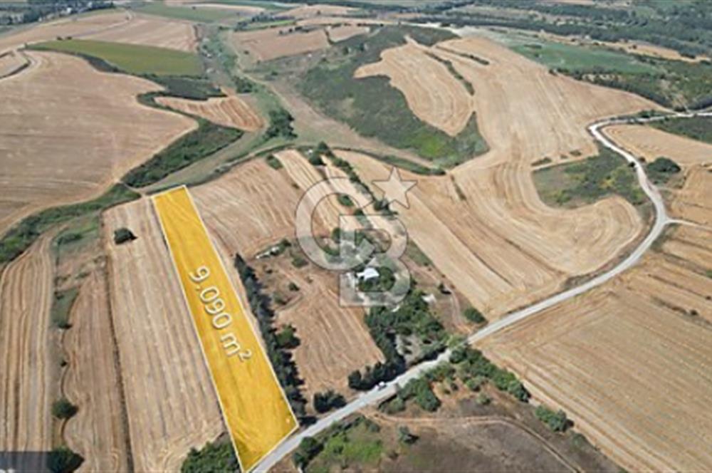 Dursunköy 'de THY Projesi Yanı, 9090 m² Göl Manzaralı Arazi