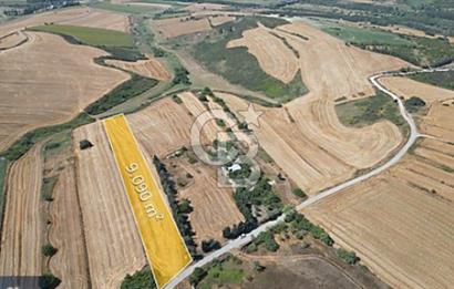 Dursunköy 'de THY Projesi Yanı, 9090 m² Göl Manzaralı Arazi