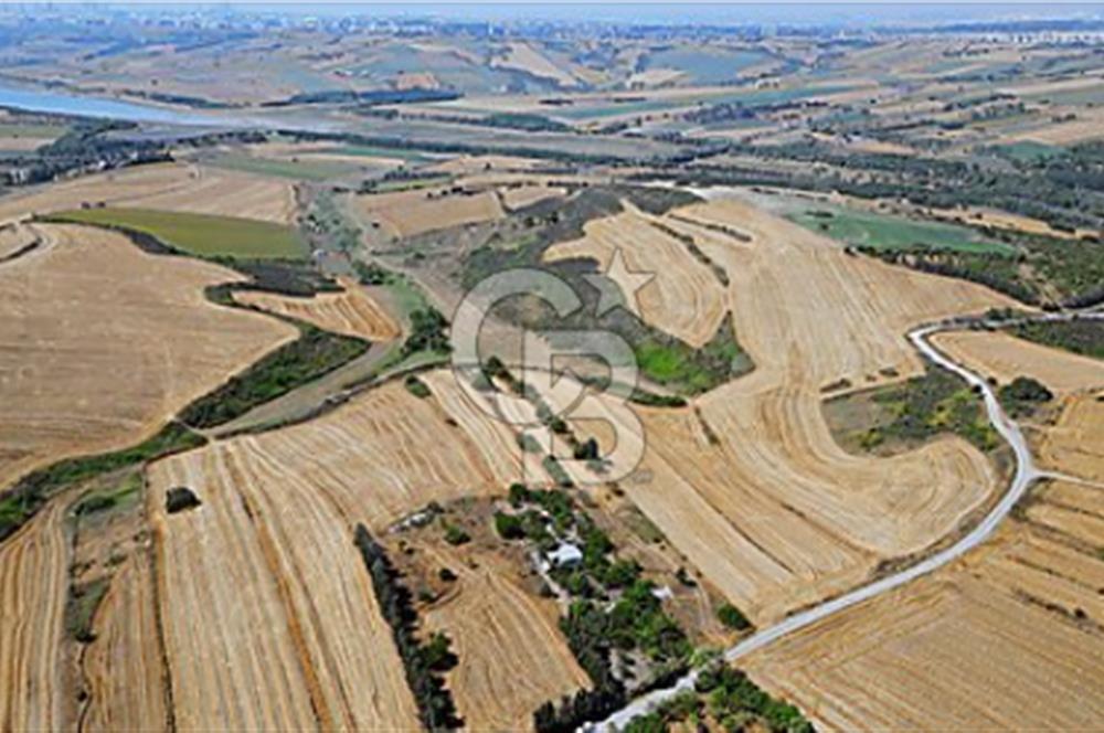 Dursunköy 'de THY Projesi Yanı, 9090 m² Göl Manzaralı Arazi