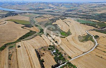 Dursunköy 'de THY Projesi Yanı, 9090 m² Göl Manzaralı Arazi