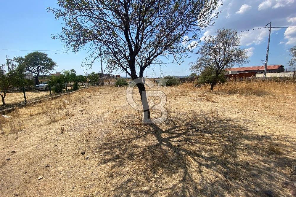 ÇANAKKALE AYVACIK PAŞAKÖY MİDİLLİ MANZARALI İMARLI SATILIK ARSA