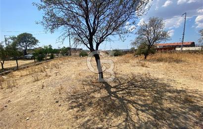 ÇANAKKALE AYVACIK PAŞAKÖY MİDİLLİ MANZARALI İMARLI SATILIK ARSA