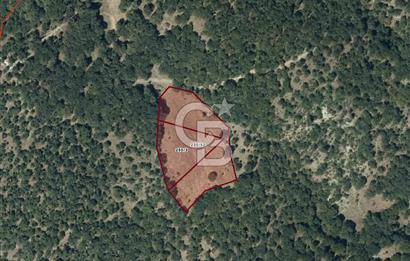 CB EAGLE'dan DURSUNBEY ŞABANLAR'DA 7.677 m² SATILIK 2 ADET TARLA