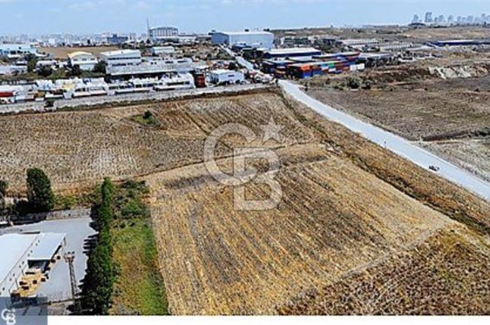ARNAVUTKÖY ÖMERLİDE 5.570 M² TİCARİ İMARLI KİRALIK ARSA