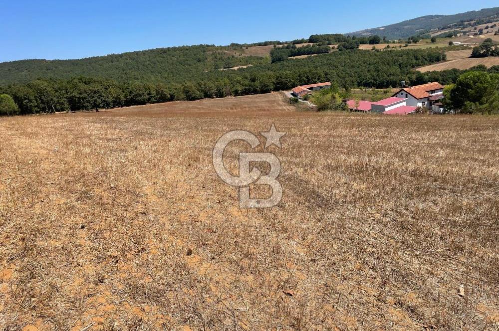 İZMİT YASSIBAĞ’DA KANDIRA OTOYOLUNA YAKIN  13.911 m2