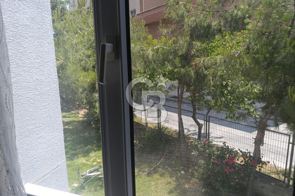 MİMOZA KONUTLARI 4+1