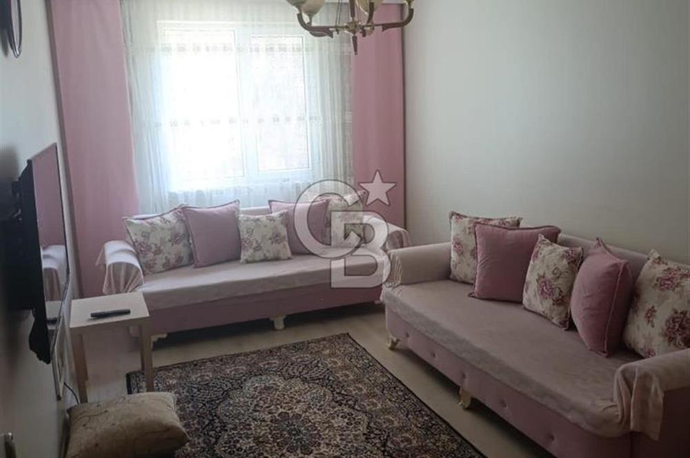 MİMOZA KONUTLARI 4+1