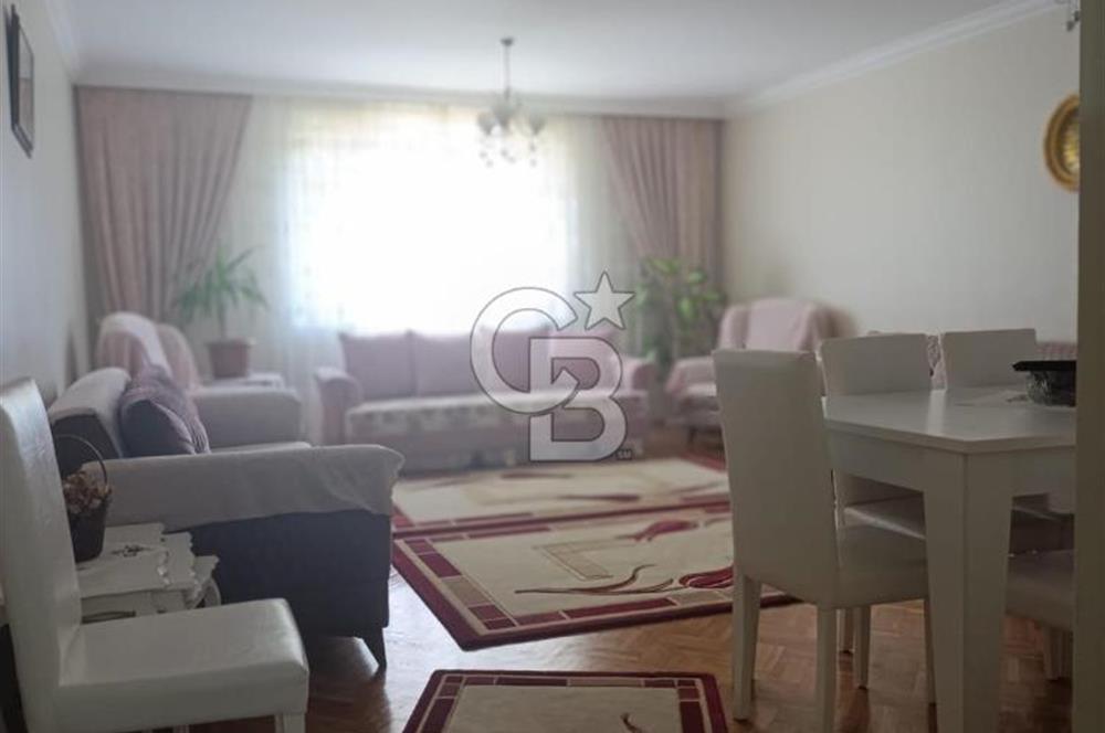 MİMOZA KONUTLARI 4+1