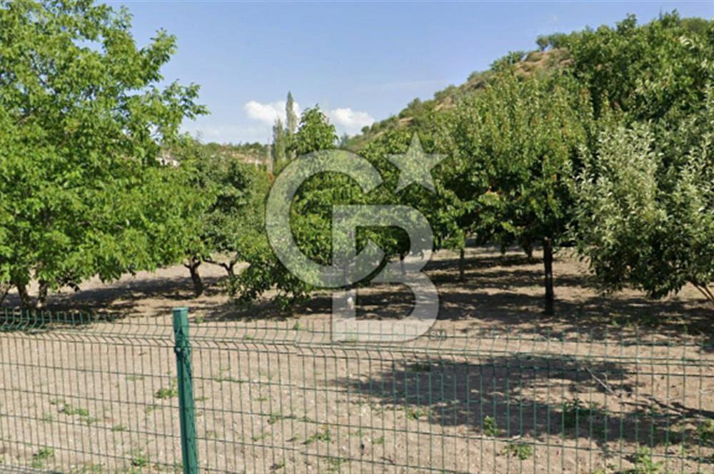 PREMİUM Köşe Villa Hemen Al Yap Başla Parseli Harika Konum