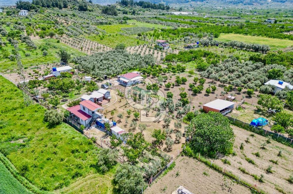 KEMALPAŞA ARMUTLU DA MÜSTAKİL TAPU SATILIK BAĞ