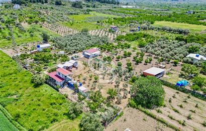 KEMALPAŞA ARMUTLU DA MÜSTAKİL TAPU SATILIK BAĞ