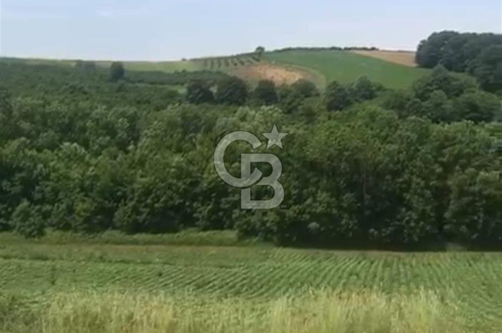 Sakarya Kaynarca Okçular'da yatırımlık tarla.