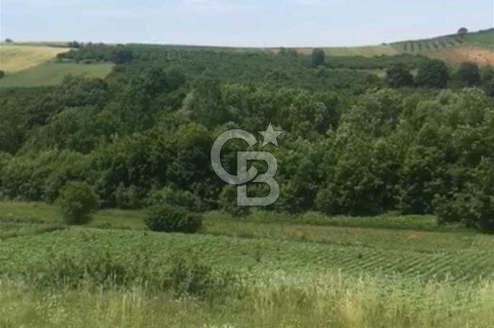 Sakarya Kaynarca Okçular'da yatırımlık tarla.