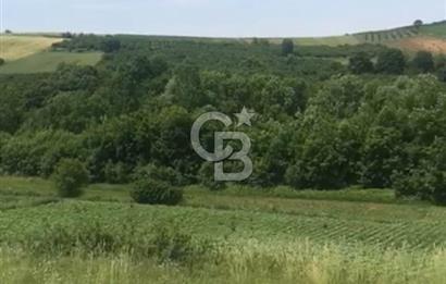 Sakarya Kaynarca Okçular'da yatırımlık tarla.