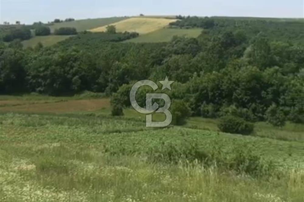 Sakarya Kaynarca Okçular'da yatırımlık tarla.