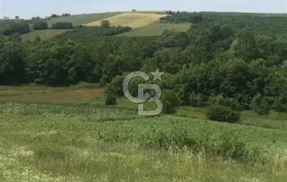 Sakarya Kaynarca Okçular'da yatırımlık tarla.