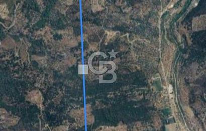 Bayındır / Yakapınar'da Satılık 5234Mt2 Yatırımlık Zeytinlik !!