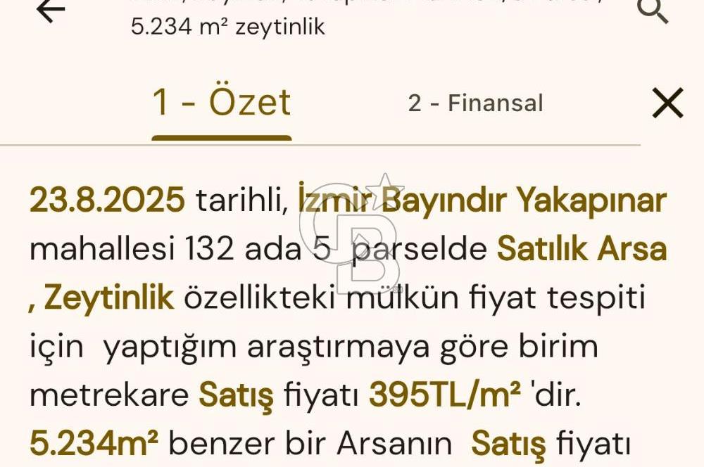 Bayındır / Yakapınar'da Satılık 5234Mt2 Yatırımlık Zeytinlik !!