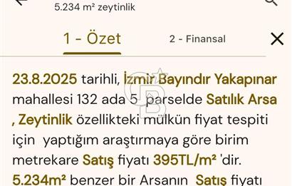 Bayındır / Yakapınar'da Satılık 5234Mt2 Yatırımlık Zeytinlik !!