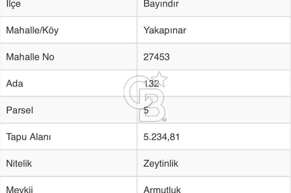 Bayındır / Yakapınar'da Satılık 5234Mt2 Yatırımlık Zeytinlik !!