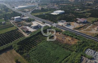 Aydın - Denizli Karayoluna Cepheli sanayi Arsası